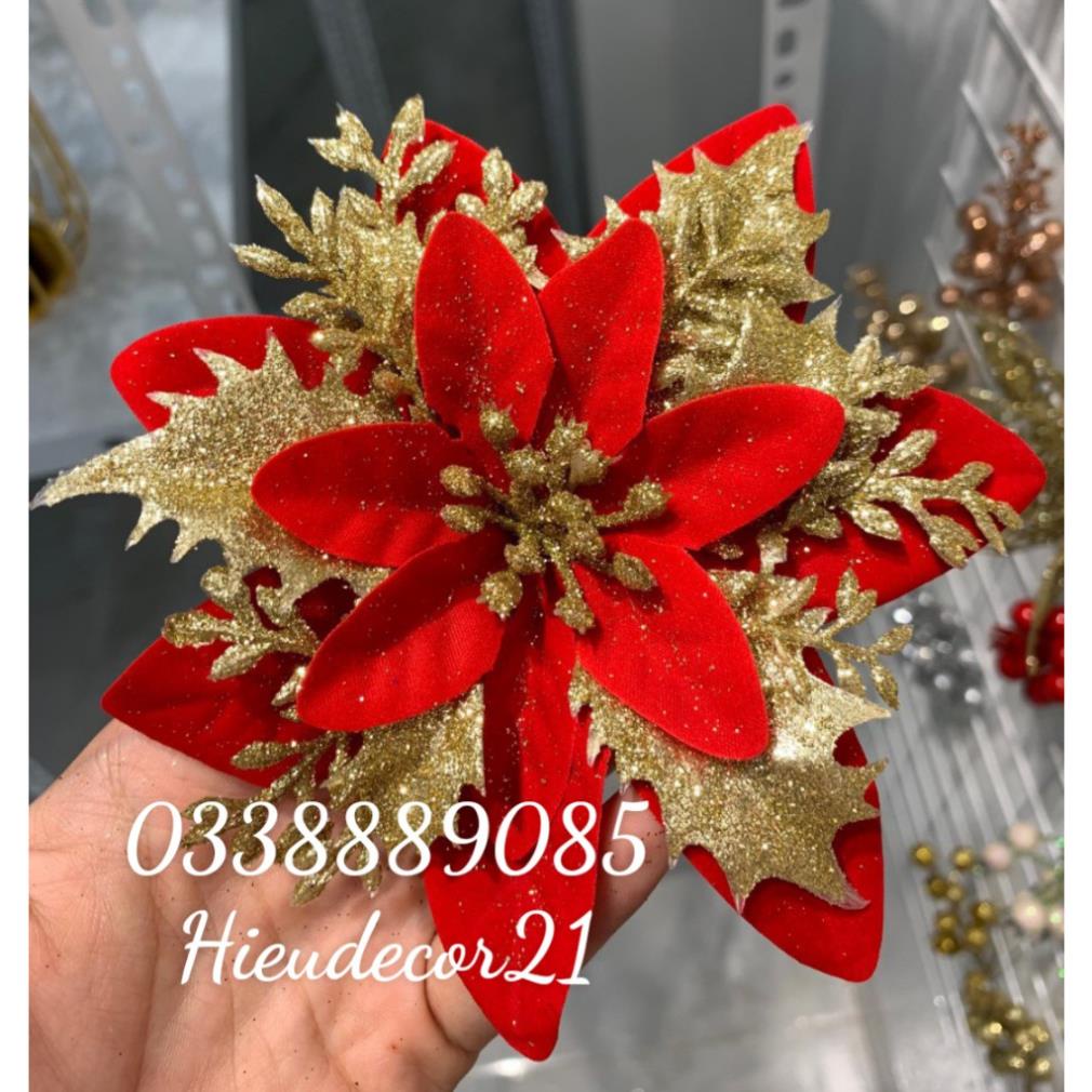 Sỉ 100 hoa trạng nguyên đủ màu size 15cm
