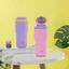 Bình giữ nhiệt Lock&Lock Daily Macaron Tumbler LHC3292 480ml thép không gỉ 316L
