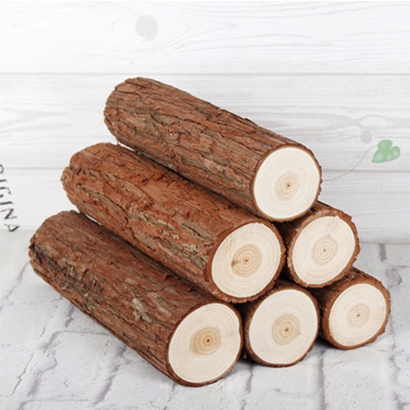 Khoanh gỗ thông đường kính 3-8cm dùng decor trang trí phòng, chụp ảnh |  Shopee Việt Nam