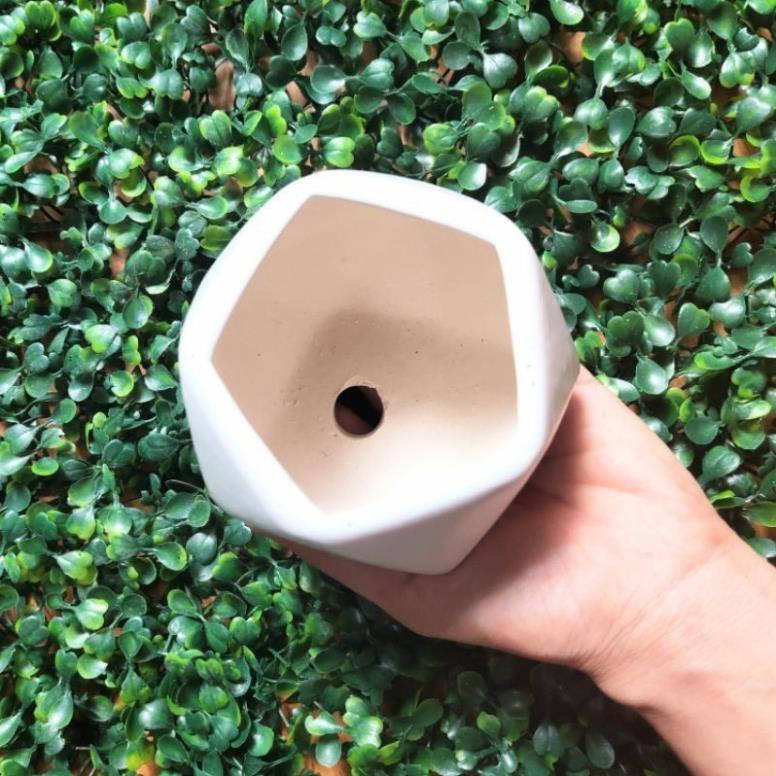 Chậu sứ kim cương đa giác- Chậu sứ trồng sen đá ,xương rồng
