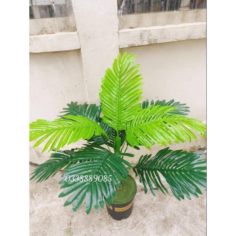 Cây giả - Cây dừa cảnh trang trí 105cm lá to dài giống thật 99%