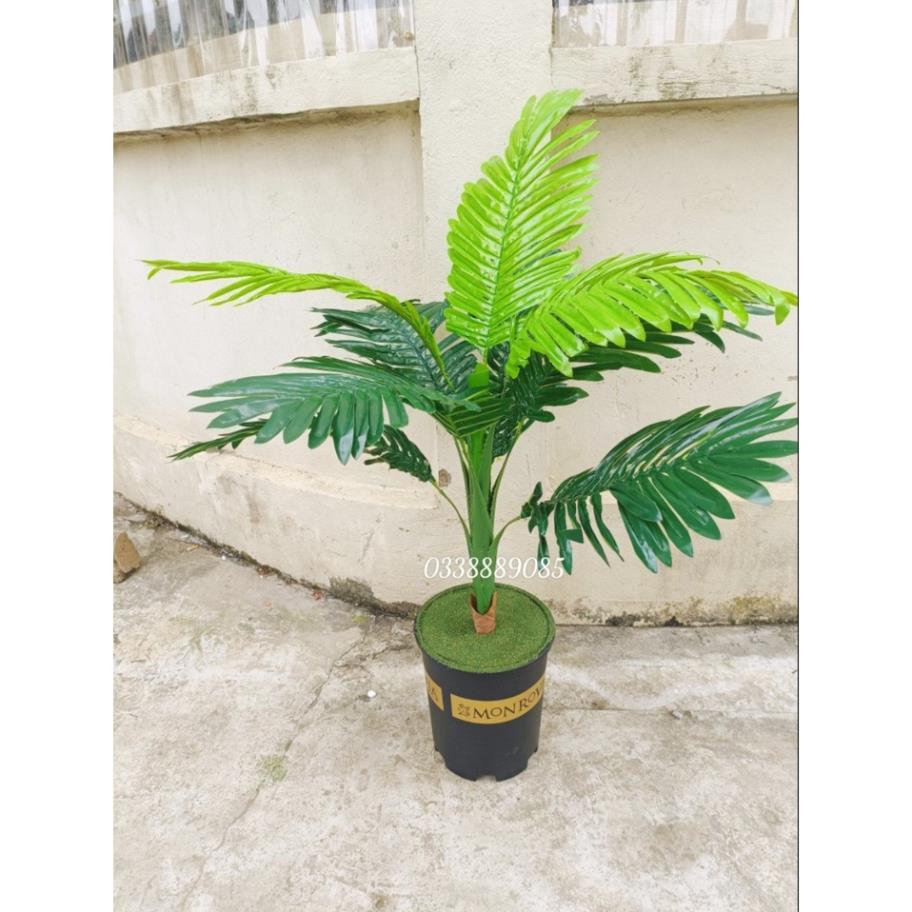 Cây giả - Cây dừa cảnh trang trí 105cm lá to dài giống thật 99%