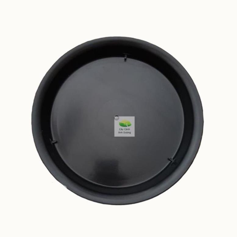 Đĩa lót chậu, đĩa đựng thức ăn cho thú cưng bằng nhựa size từ 10-45cm
