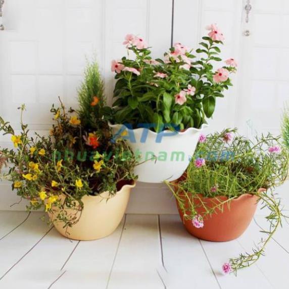 Chậu áp tường bán nguyệt (ốp tim) (25x15x14)cm Chậu ốp tường treo tường có lướt lót.