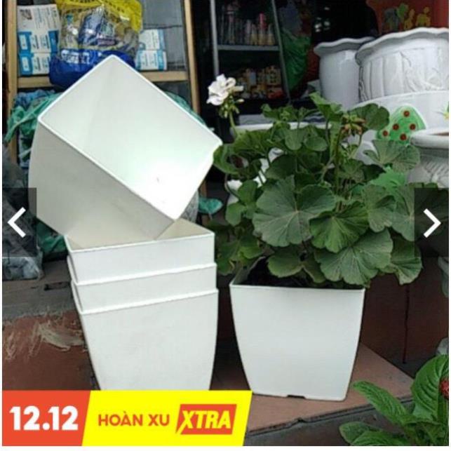 Chậu nhựa vuông V20 (20x20x20cm) loại 1 dày đẹp