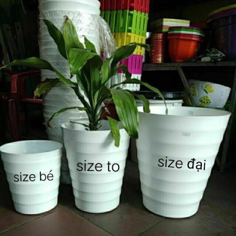 Chậu nhựa Tròn (36x32)cm trồng cây thật ,cây giả đủ size, hàng đẹp