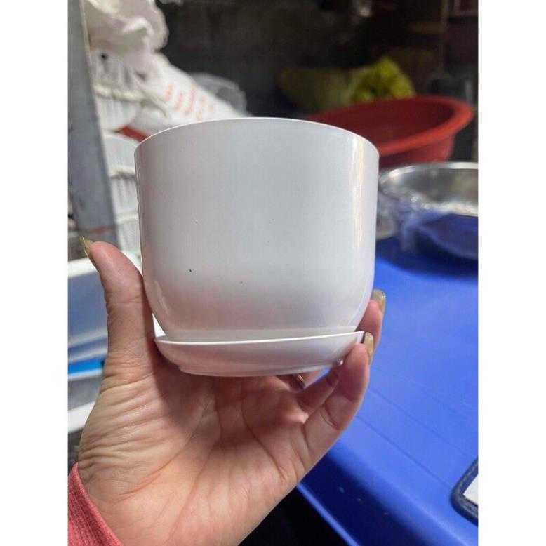 (chậu+ đĩa) Chậu nhựa tròn giả sứ trắng kèm đĩa trồng cây cảnh mini, sen đá, sương rồng kèm hàng dày đẹp (Tròn sứ trơn)