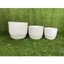 Chậu nhựa tròn giả sứ trắng kèm đĩa trồng cây cảnh mini, sen đá, sương rồng kèm hàng dày đẹp (Tròn sứ trơn)