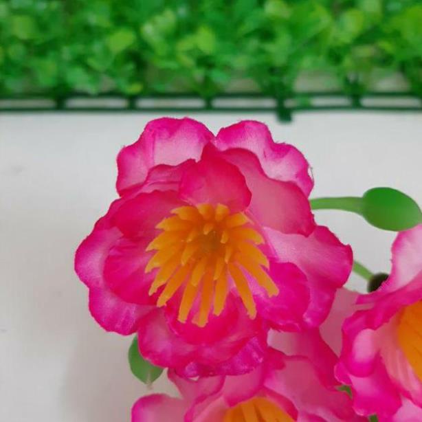 Sỉ hoa đào, hoa mai giả trang trí tết 40 bông 1 gói siêu rẻ