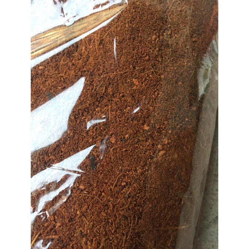1 kg Mùn xơ dừa trồng lan, cây cảnh, rau mầm (đã qua xử lý)
