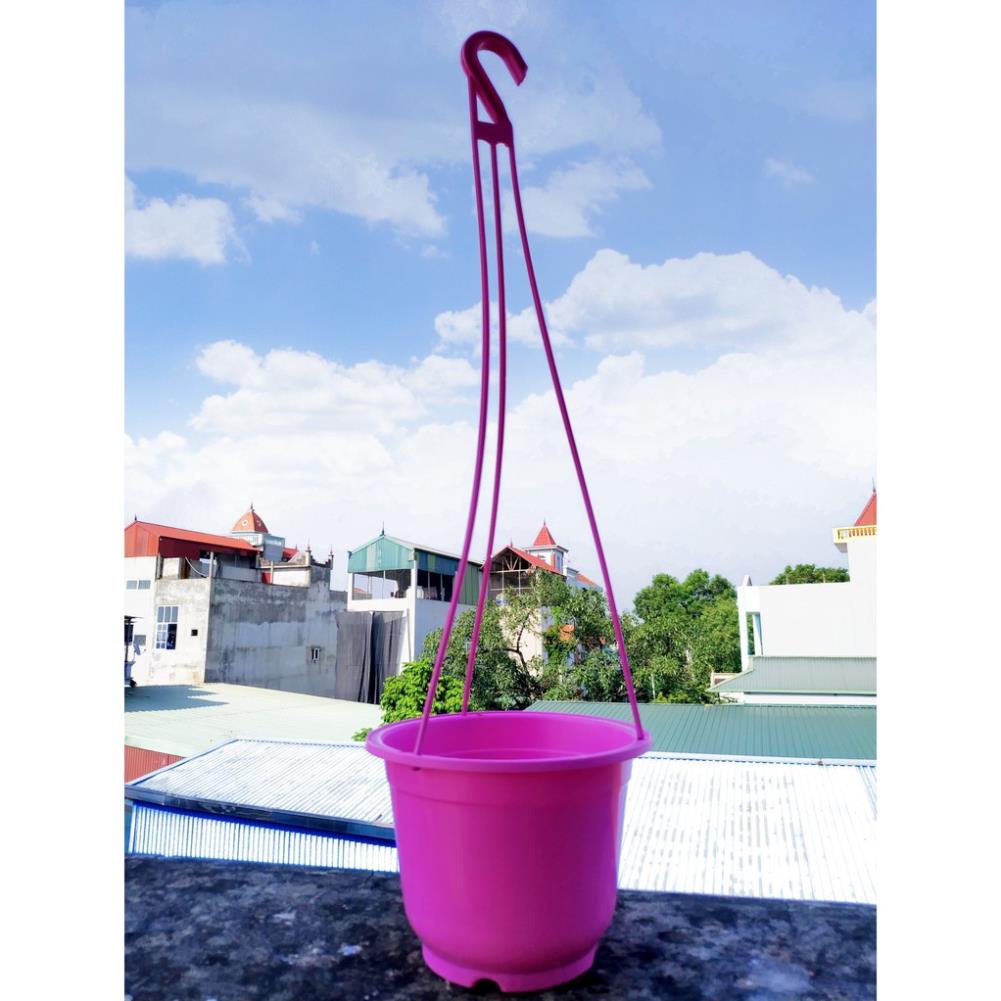10 chậu treo trồng cây, trồng hoa - chậu nhựa treo tròn hàng đẹp đủ màu sắc