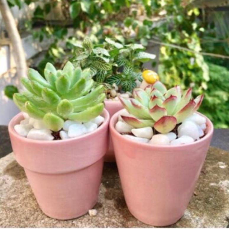 Chậu gốm sứ Bát Tràng (7x7cm)men mát hình xô  trồng cây loại nhỏ trang trí