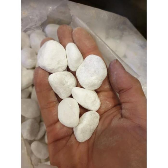 Sỏi Trắng ( Đá Trắng) trang trí bể cá,chậu cây, sân vườn đủ size