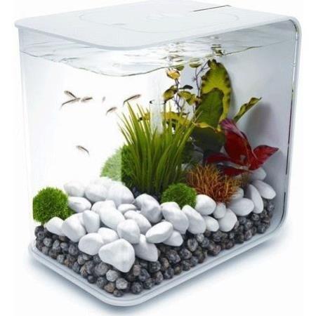 Sỏi Trắng ( Đá Trắng) trang trí bể cá,chậu cây, sân vườn đủ size