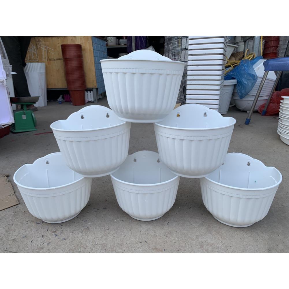 chậu ốp tường vân sọc hàng dày đẹp ạ