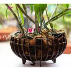 Chậu nhựa giả gỗ trồng lan hình quả bí màu nâu,cam đủ size, hàng dày nan, hàng đẹp và sẵn kho