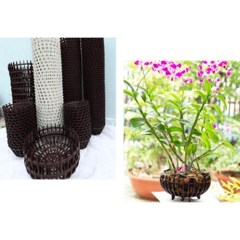 Chậu nhựa giả gỗ trồng lan hình quả bí màu nâu,cam đủ size, hàng dày nan, hàng đẹp và sẵn kho