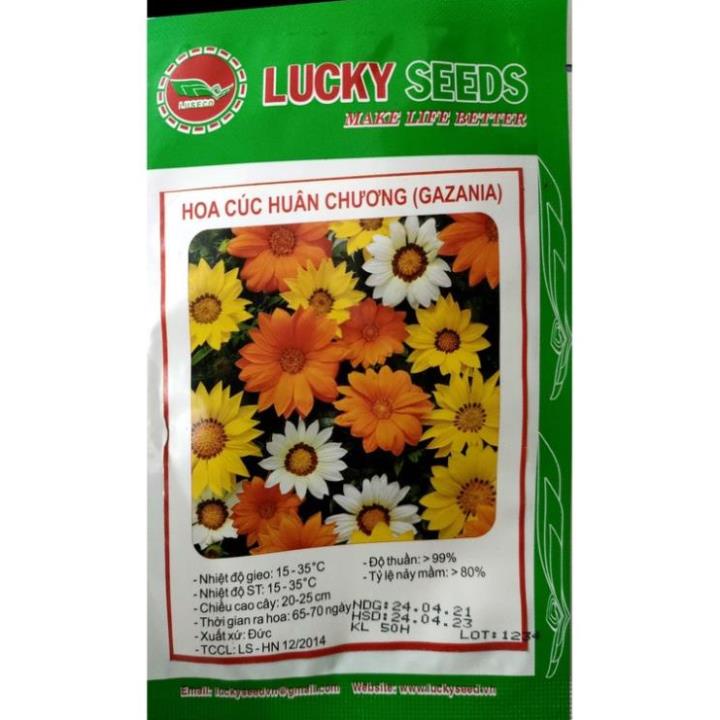 50h Hạt Giống Cúc Huân Chương Mix Màu (C3.204| B38*V22)
