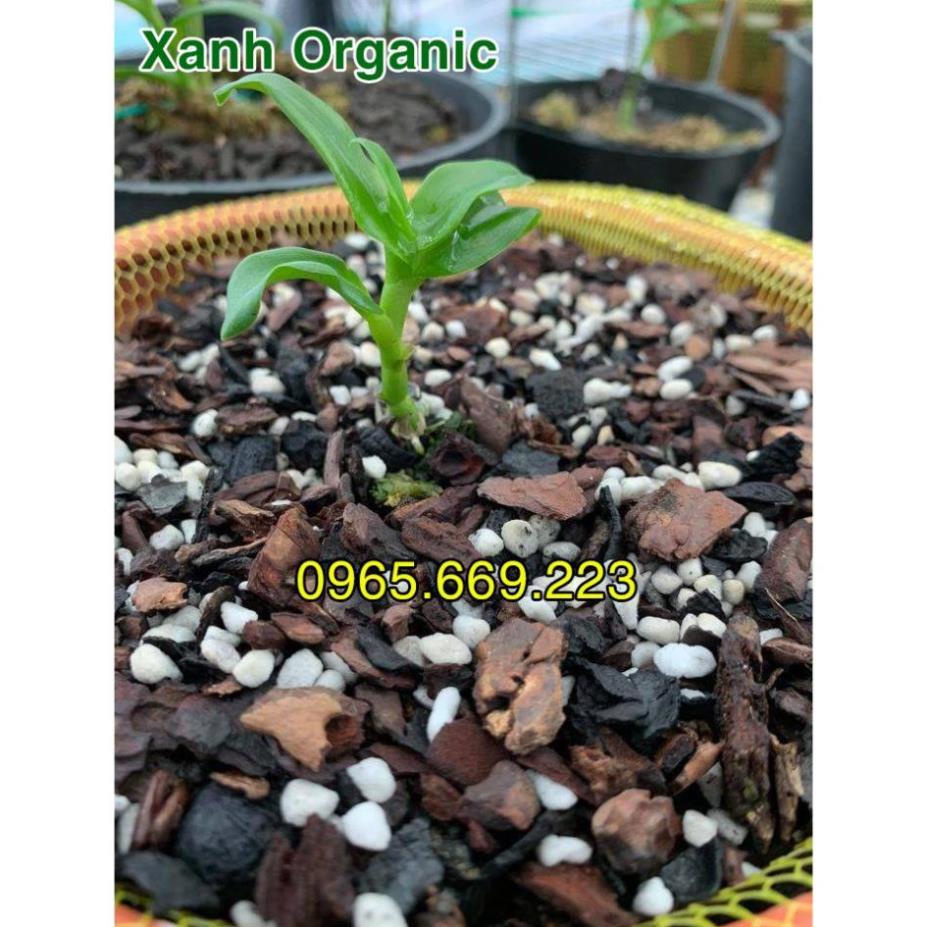 1kg Giá Thể Trồng Lan Cao Cấp Long Vân  Đã Xử Lý - ship hàng siêu nhanh