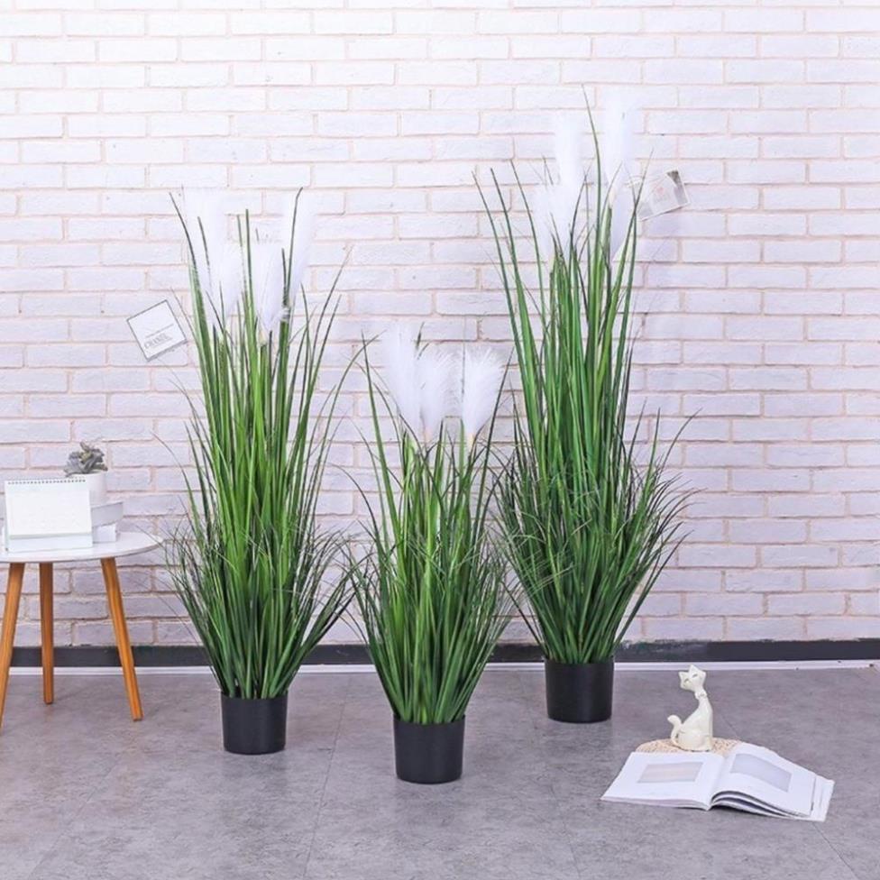 Cành bông lau dài 1,4m decor siêu đẹp