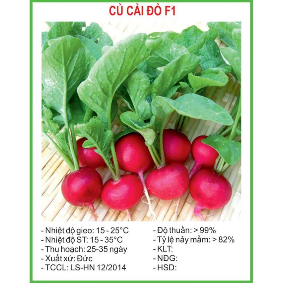 Hạt Giống Củ cải đỏ F1 (lucky seeds)