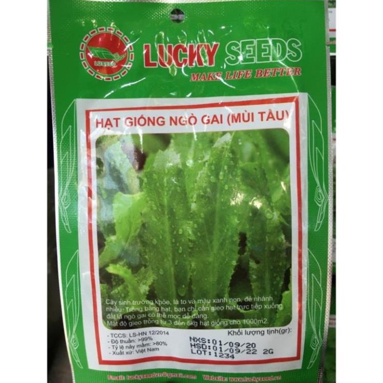 Hạt giống mùi tầu - ngò gai (Gói 2G)