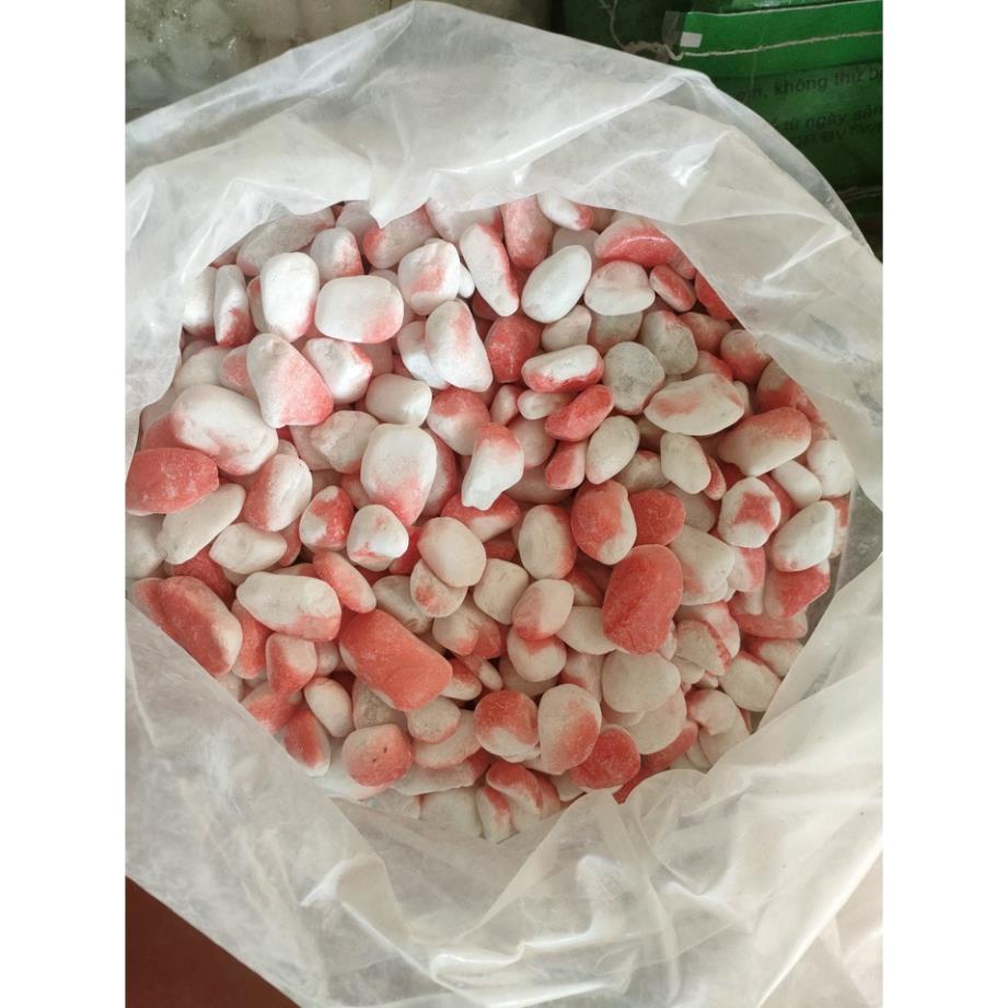 1 KG Sỏi ( Đá ) đủ màu không phai trang trí bề mặt chậu cây, bể cá, thủy
