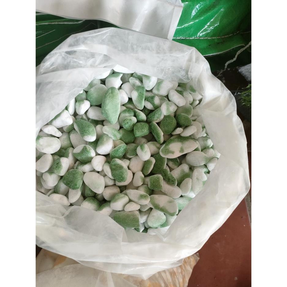 1 KG Sỏi ( Đá ) đủ màu không phai trang trí bề mặt chậu cây, bể cá, thủy