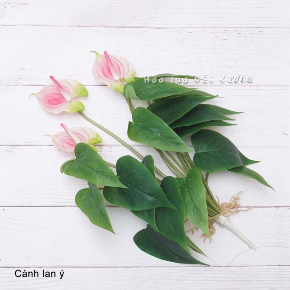 Cây giả - Cây Hoa Lan Ý (Hồng môn) Cao Su 3 bông 18 lá