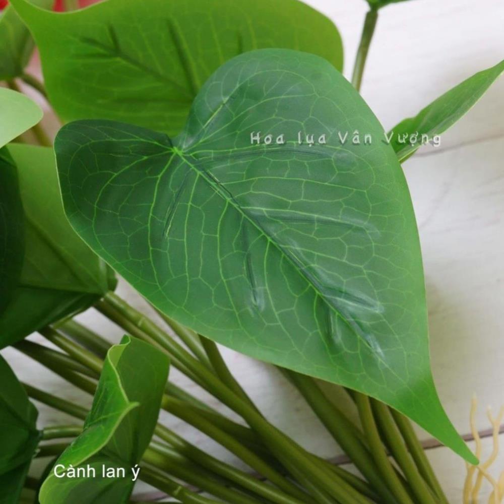 Cây giả - Cây Hoa Lan Ý (Hồng môn) Cao Su 3 bông 18 lá