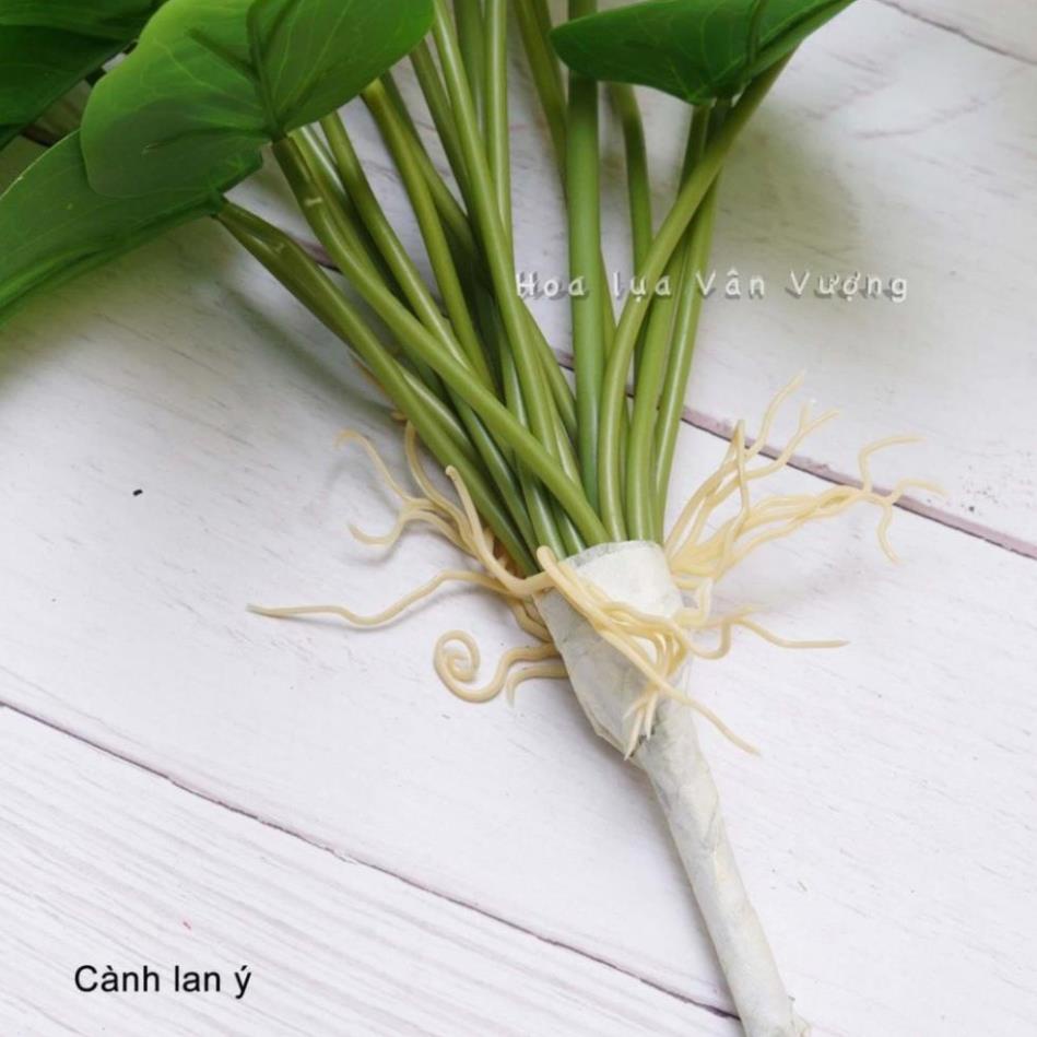 Cây giả - Cây Hoa Lan Ý (Hồng môn) Cao Su 3 bông 18 lá