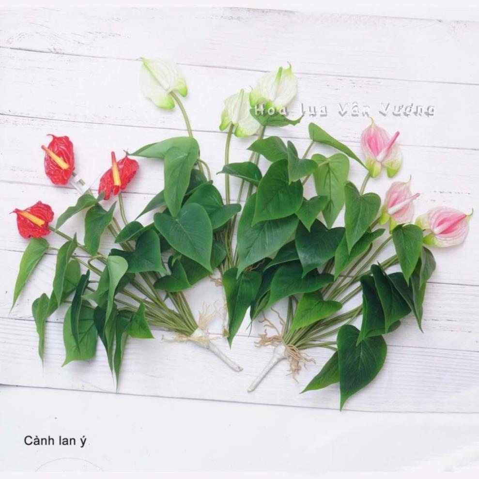Cây giả - Cây Hoa Lan Ý (Hồng môn) Cao Su 3 bông 18 lá