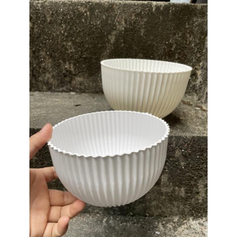 Chậu Gân sọc để bàn màu Vàng Đồng, trắng derco siêu siêu đẹp ạ - Ảnh thật