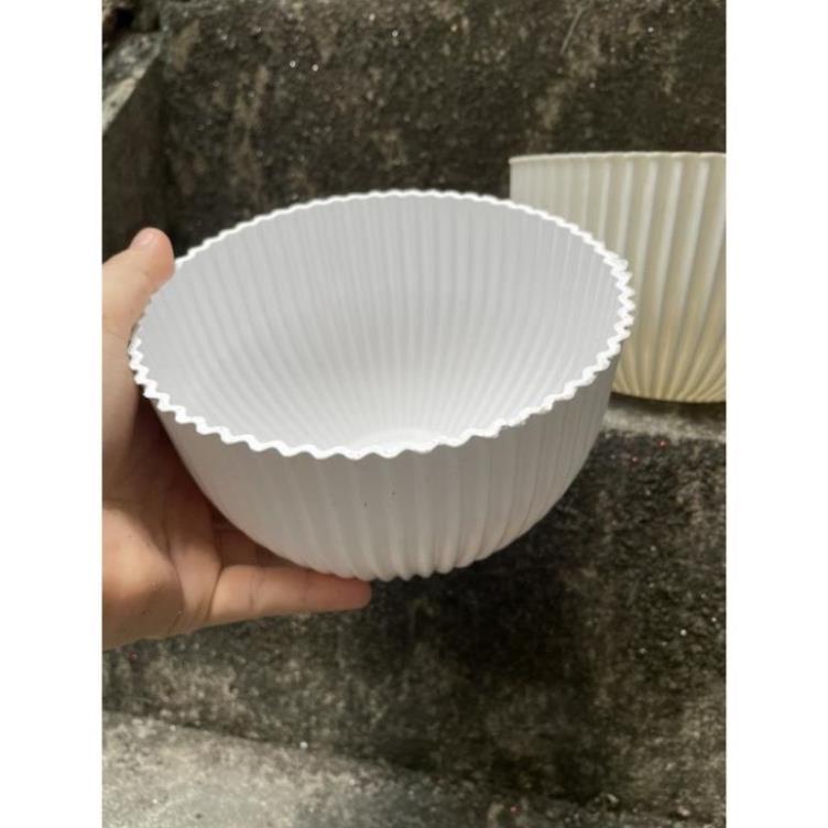 Chậu Gân sọc để bàn màu Vàng Đồng, trắng derco siêu siêu đẹp ạ - Ảnh thật