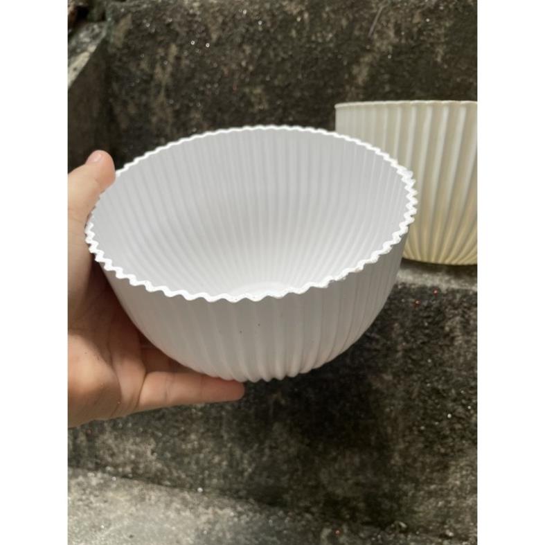 Chậu Gân sọc để bàn màu Vàng Đồng, trắng derco siêu siêu đẹp ạ - Ảnh thật
