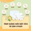 Bỉm Gogomi Premium - Êm Mềm Như Mây, Bé Khô Thoáng Suốt 24h Merries moony Opapi O'papi