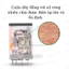 Rơ Le Trung Gian Schneider Kèm Đế 8 chân và 14 chân RXM4LB2P7, Relay Schneider 220V,24V,12V Cao Cấp