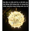Đèn Led Cầu Mây Trang Trí Nhà Cửa, đèn led trang trí cầu tròn nhiều màu noel, lễ hội Cao Cấp