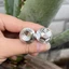Ốc treo pô inox 304 cho xe máy (10li 6F, 10li4F, 8li4F) - DIAMOND SALAYA