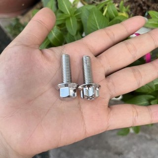 DIAMOND SALAYA - Combo 2 con ốc pass heo Ya - Hon Inox304 ( 10li23 - 8li25)