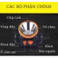 Đèn Pin Đội Đầu Siêu Sáng Sạc Điện Rạng Đông, đèn pin đội đầu sạc điện pin trâu, den doi dau pin trâu Cao Cấp
