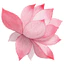 Hình ủi, Hình Ép Nhiệt Hoa Sen - Lotus, Có In Theo Yêu Cầu 1