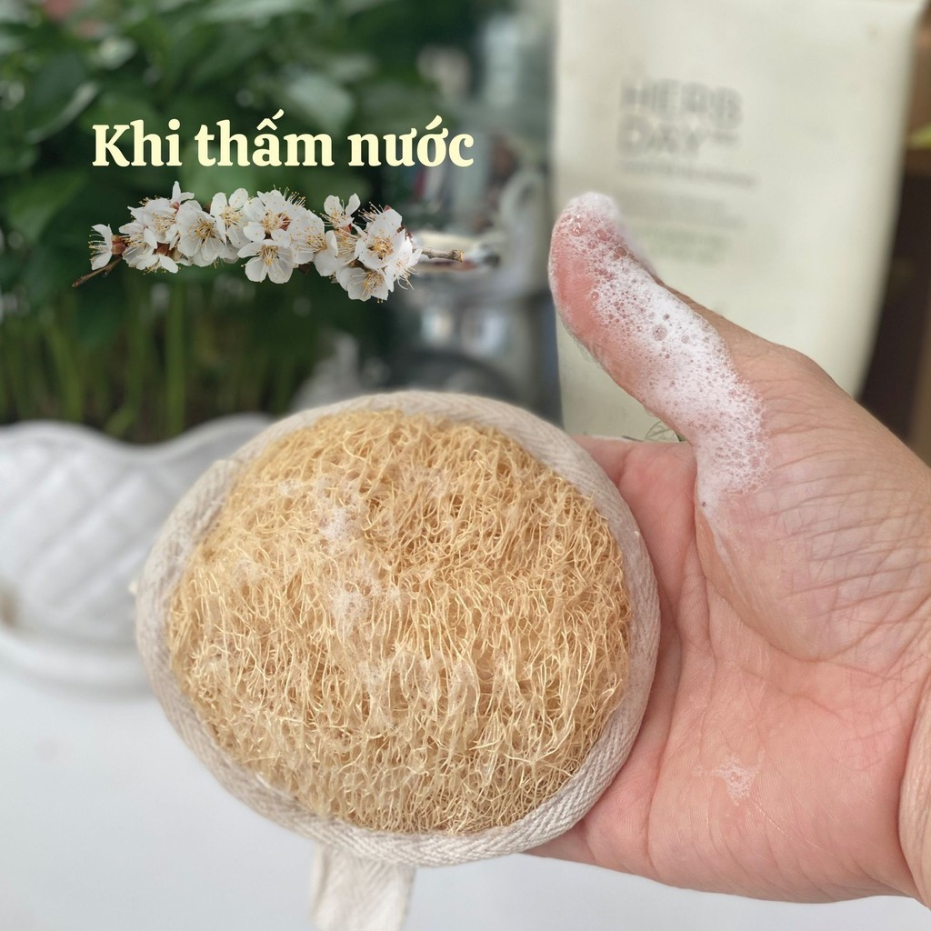 Bông Tắm Xơ Mướp, Bông Rửa Mặt Xơ Mướp, Bông Tẩy Trang Xơ Mướp