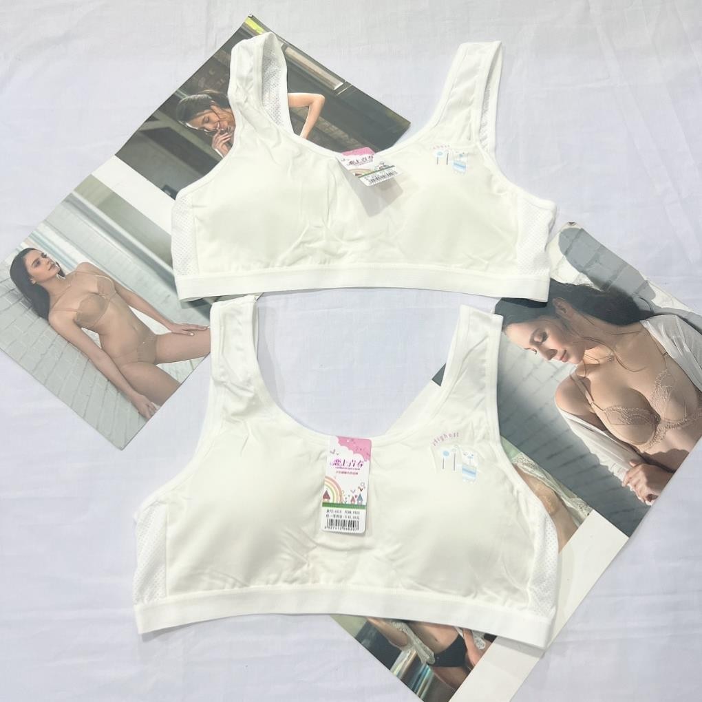 [AL02] Áo lá học sinh cotton kèm mút đệm hình búp bê cho bé gái mới lớn dậy thì cấp 1,cấp 2,cấp 3 mềm mịn thoáng mát