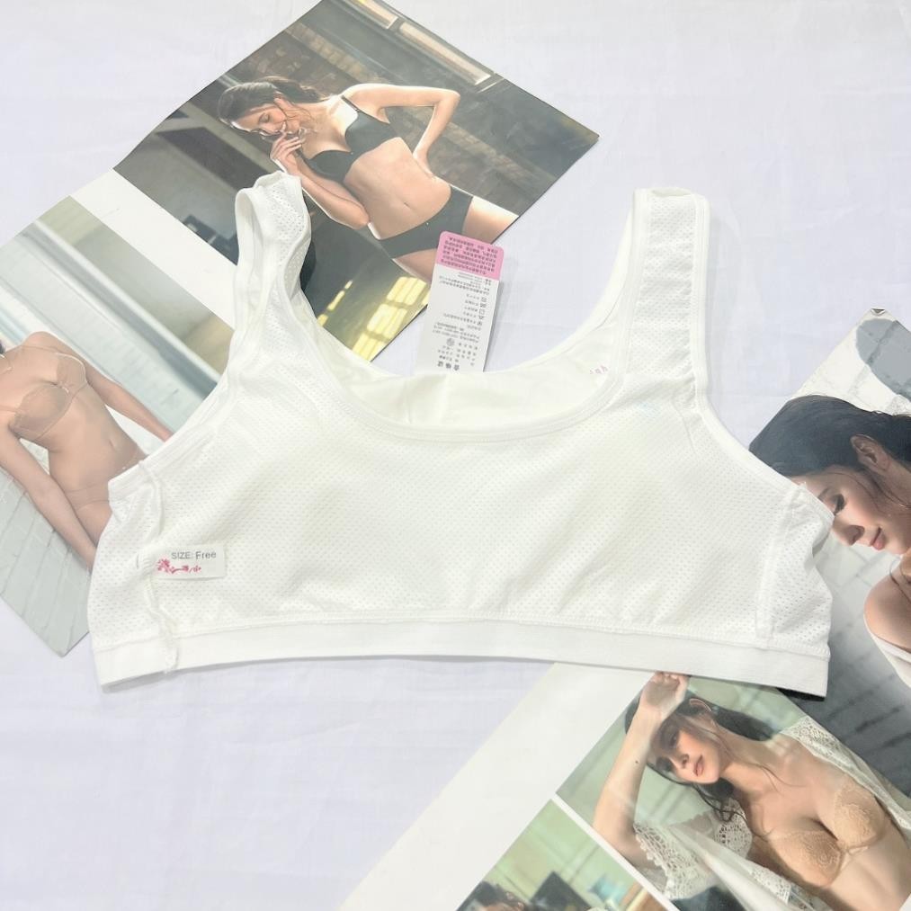 [AL02] Áo lá học sinh cotton kèm mút đệm hình búp bê cho bé gái mới lớn dậy thì cấp 1,cấp 2,cấp 3 mềm mịn thoáng mát