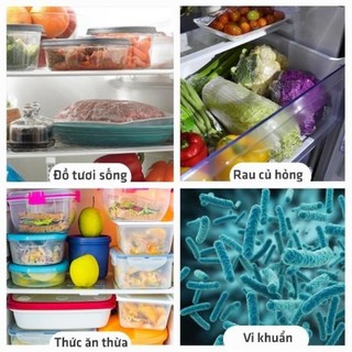 Xịt Khử Mùi Tủ Lạnh FREEME - Loại Bỏ 99% Mùi Hôi Thịt Cá, Rau Củ, Thức Ăn Hỏng | An Toàn, Hiệu Quả