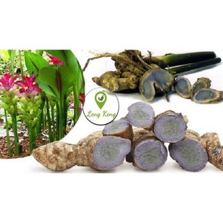 Tinh Bột Nghệ Đen  LengKengFarm Nguyên Chất Organic
