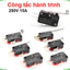 Công tắc hành trình 1C25 250VAC 15A SPDT - NO/NC
