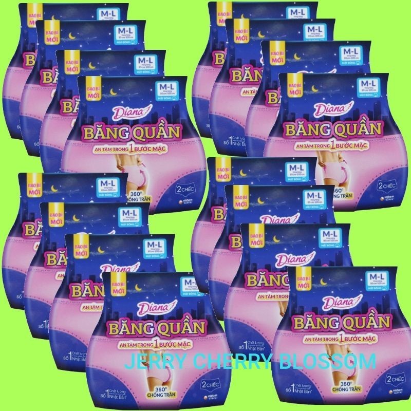 combo 16 gói băng vệ sinh dạng quần Diana Beauty hip 2 chiếc /gói SM/ML