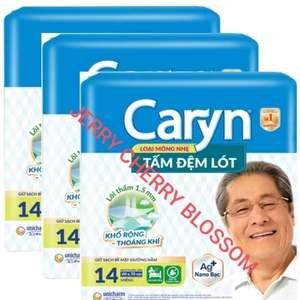Bộ 3 gói tấm đệm lót caryn mỏng nhẹ 14 miếng/gói (60*70cm)